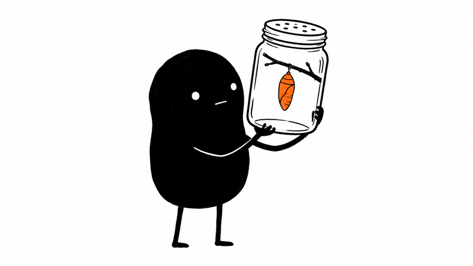 Lev holds up a jar containing a single orange cocoon on a twig.